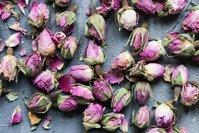 Drying Roses